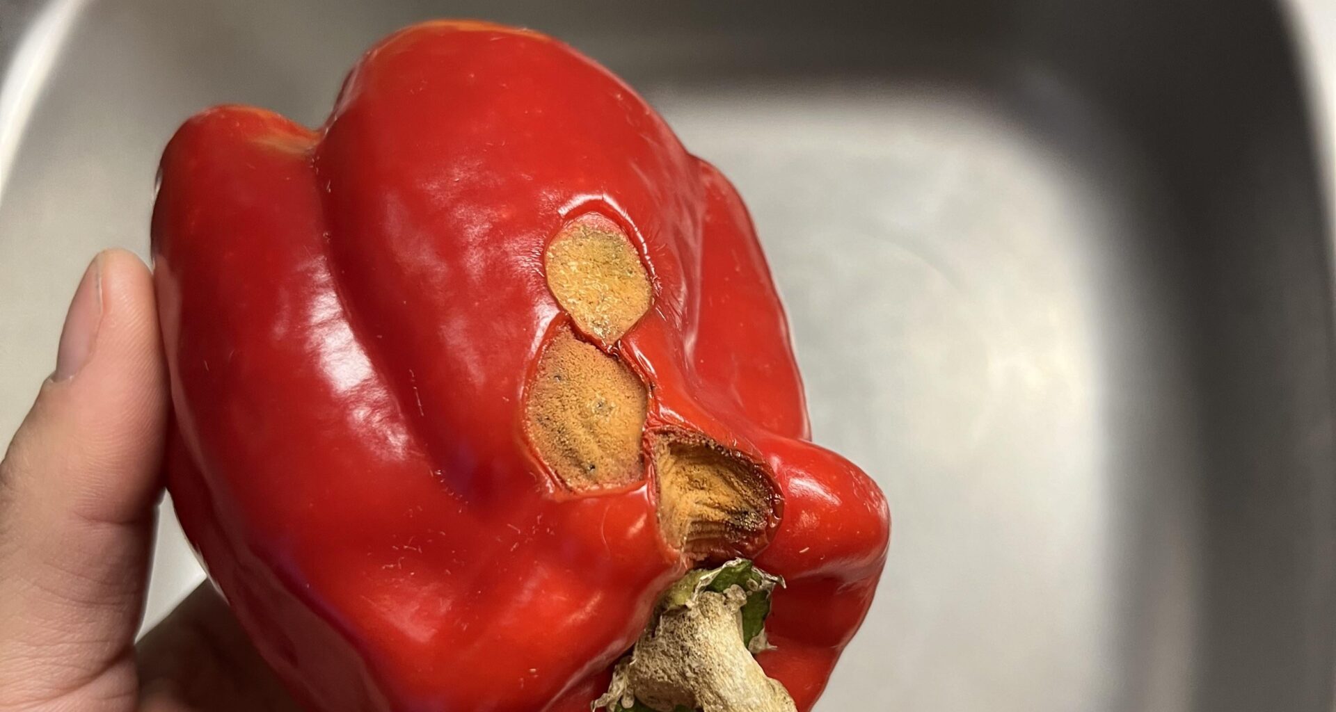 Was hat meine Paprika?