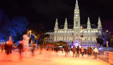 The Austrian economy is on thin ice | snaps