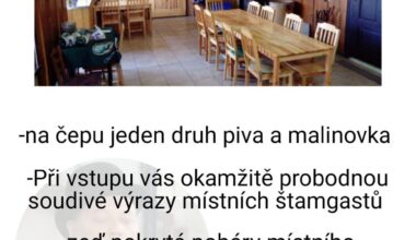 Zdravím vás redditový kamarádi, tady je samovolně ukončená série "lexikon českých hospod" jako celek. Doufám že vás alespoň občas donutila nahlas vydechnout nosem. Možná se časem vrátím s nějakou novou sérií.