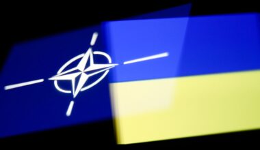 Europe won't be secure until Ukraine is in NATO - former U.S. ambassador