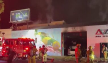 Arson suspected in series of fires that damaged business, vehicles in Sherman Oaks