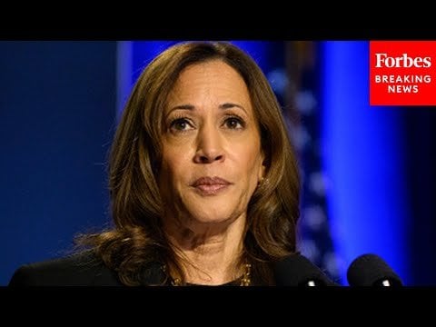 Harris Issues Clear Warning To MI Voters: There's A 'Full-On Assault' Against 'Hard Fought Freedoms'