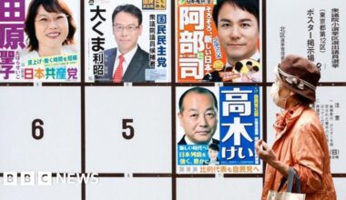 Japan election: Ruling LDP to fall short of majority - exit poll