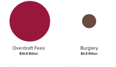 Causes of Financial Loss in the United States, 2011