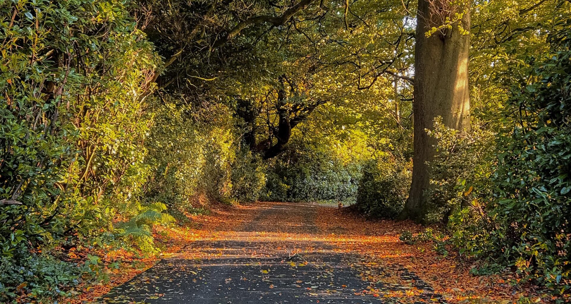 October in Ireland is lovely