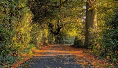 October in Ireland is lovely