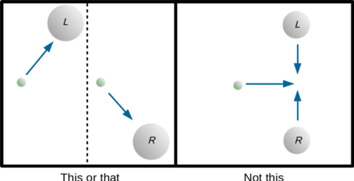 The prediction of the semiclassical Einstein equation is depicted in the right panel, compared with what we expect to occur based on the statistical interpretation of the density matrix in the left panel.