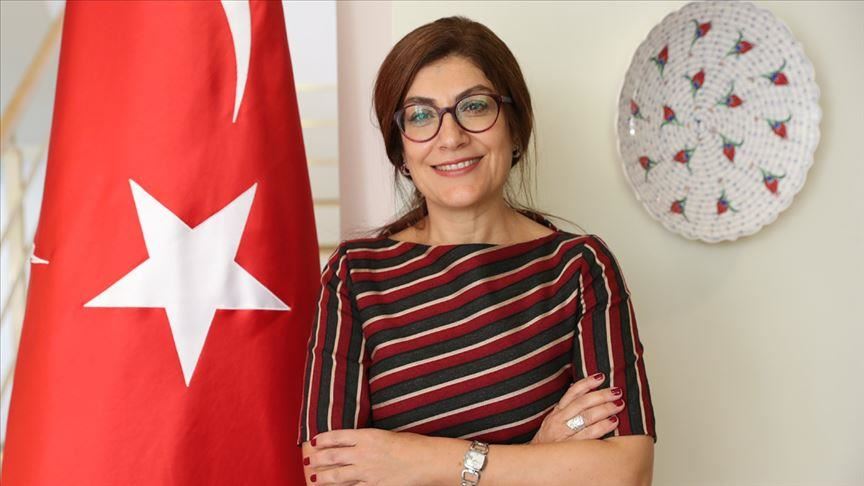 Türkiye appoints new ambassadors