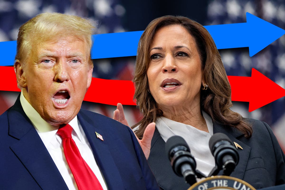 Harris vs Trump: Who’s leading in the presidential polls