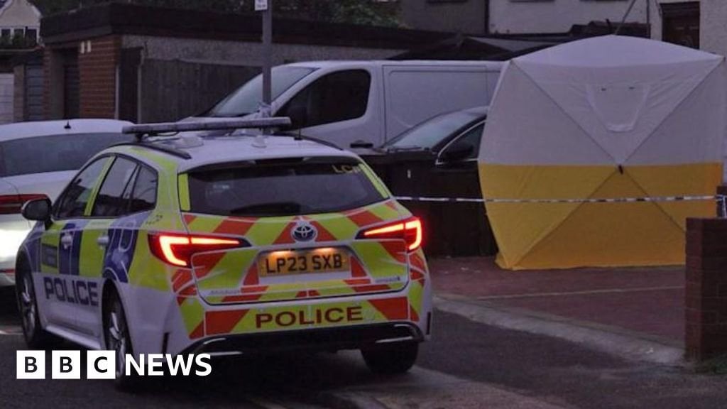 Dagenham: Arrest after woman and children, aged 8 and 2, stabbed