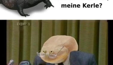 Ich_iel