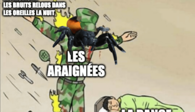 Rétablissons la vérité !