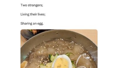 Two strangers united by an egg