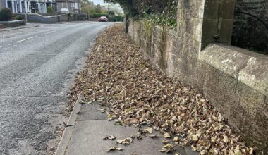 Crunchy leaves on my walk this morning 10/10