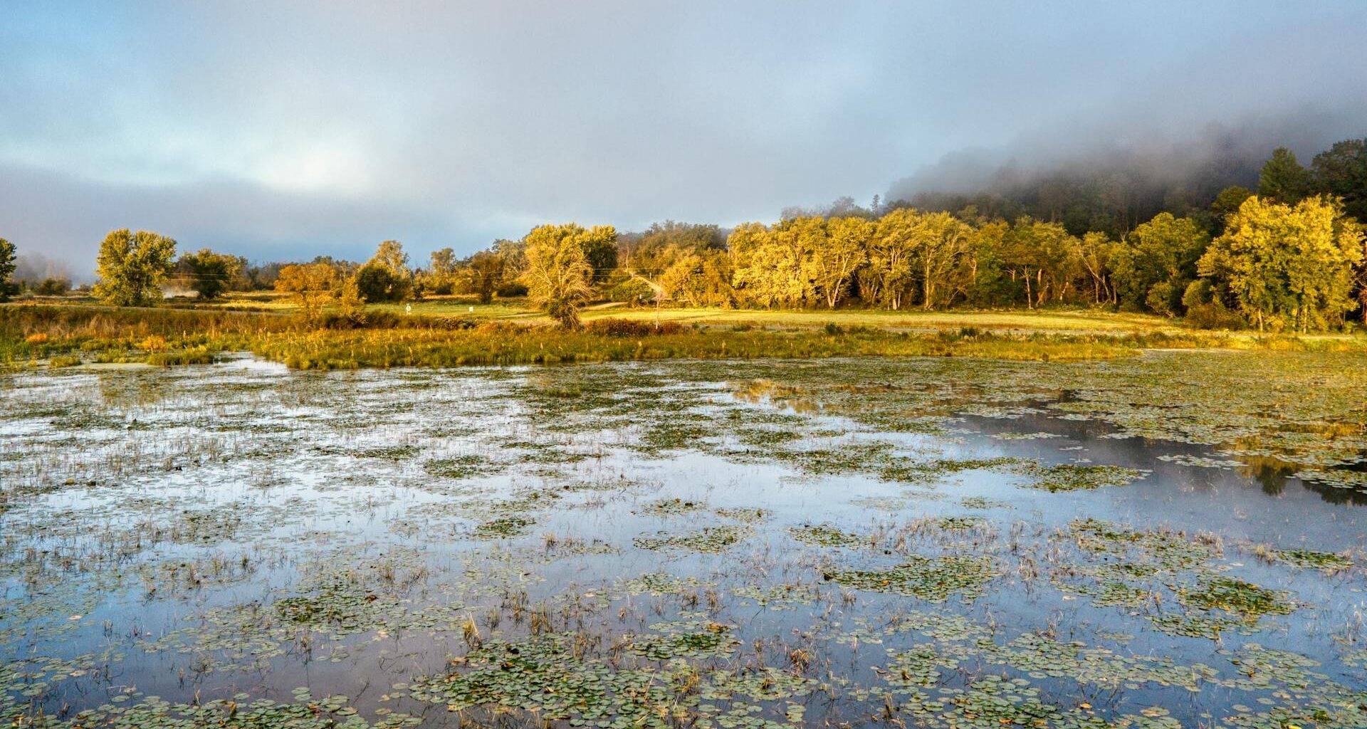 Wet Land