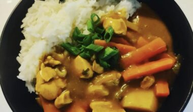 Curry Japonais