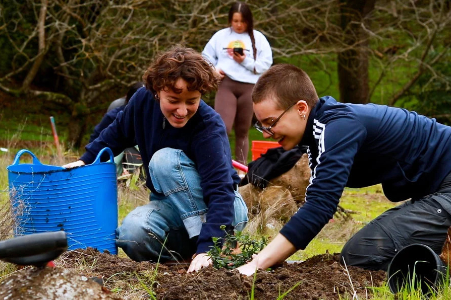 Students working in native plant garden