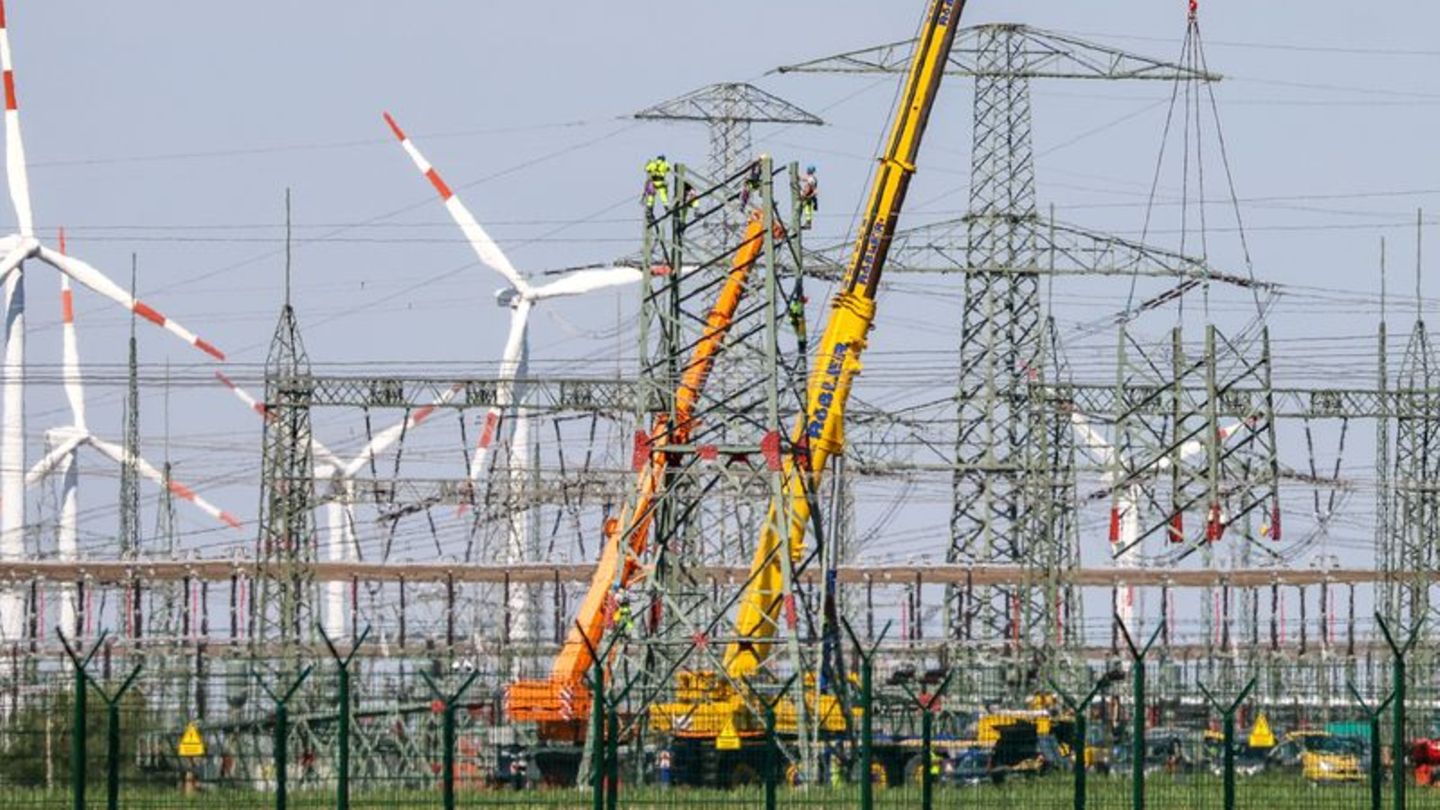 Zur kritischen Infrastruktur zählen auch Energieversorger und Stromtrassen. (Archivfoto) Foto: Jan Woitas/dpa