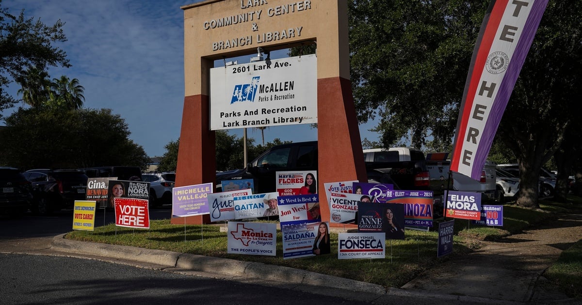 Millions of Texans voted early. Here’s what mattered to them.