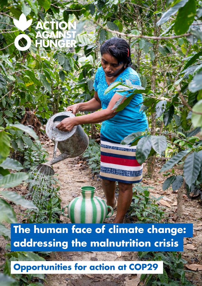 The human face of climate change: addressing the malnutrition crisis - Opportunities for action at COP29 - World