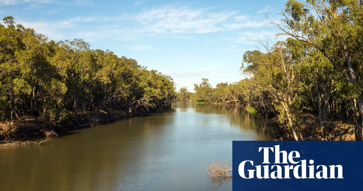 ‘Ecosystems are collapsing’: one of Australia’s longest rivers has lost more than half its water in one section, research shows | Environment