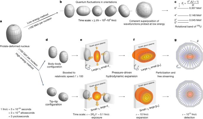 Imaging shapes of atomic nuclei in high-energy nuclear collisions