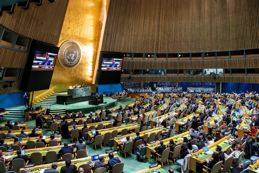 Delegates sit at desks and look up at a screen in the UN General Assembly.