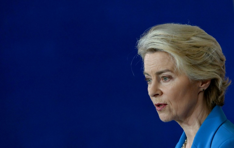 EU chief Ursula von der Leyen faces a decisive vote on her new top team at the end of November (Tobias SCHWARZ)