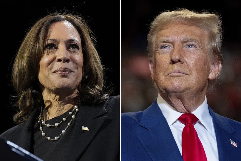 Kamala Harris lors d'un meeting de campagne à Erie le 14 octobre 2024, et Donald Trump, lors d'un meeting de campagne à Uniondale le 18 septembre 2024.