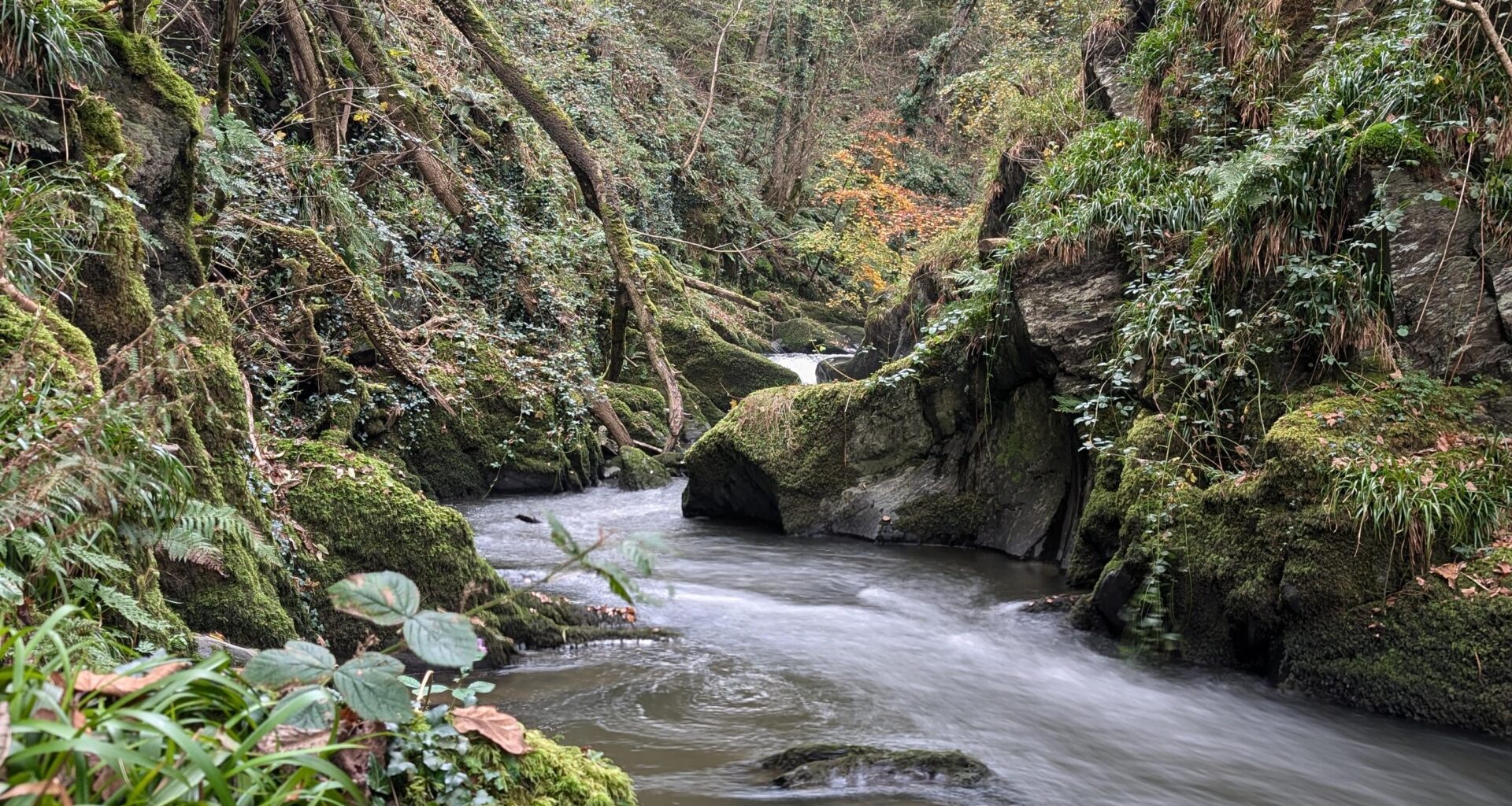 A bit of West Wales magic for you tidy lot. Still one of my favourite spots.