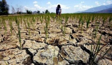 More than half of U.S. winter wheat in drought. Nearly all other wheat-exporting countries — Russia, Canada, Argentina and Kazakhstan — also appear to be dry