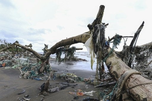 Plastic boom: The sheer volume of plastic garbage produced around the globe has more than doubled in 20 years, from 156 million tons in 2000 to 353 million tonnes in 2019.