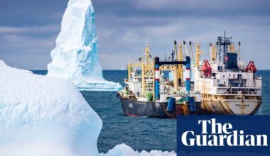 ‘Very bad precedent’: China and Russia team up to undermine krill fishing restrictions in Antarctica