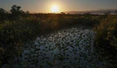 Scientists may have figured out why a potent greenhouse gas is rising. The answer is scary.