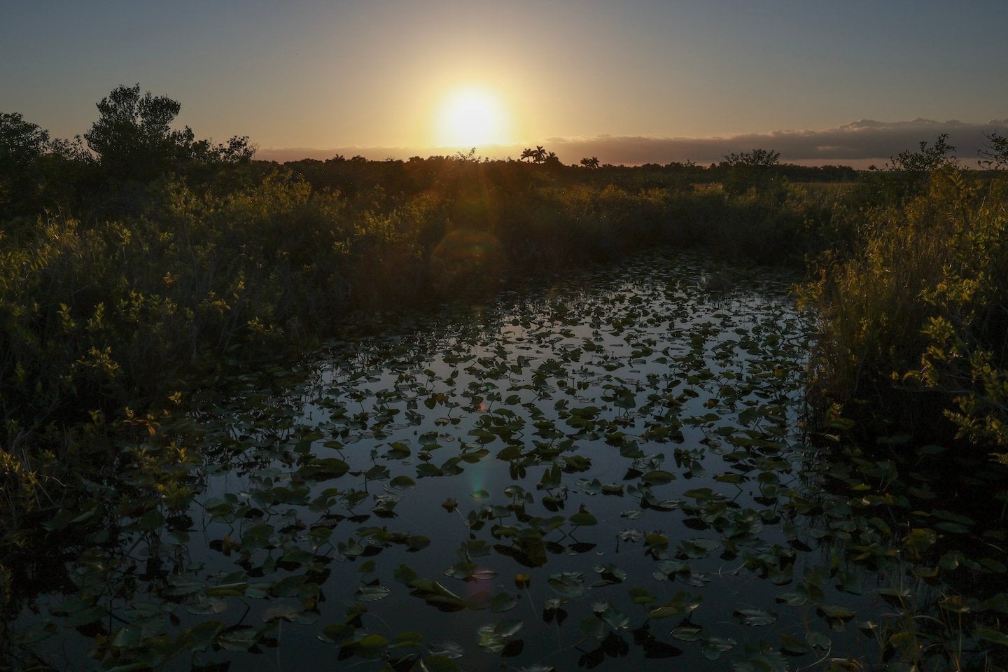 Scientists may have figured out why a potent greenhouse gas is rising. The answer is scary.