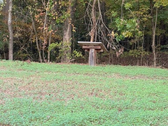 Alabama Power has built pollinator plots at eight company lakes. (Donna Cope / Alabama News Center)