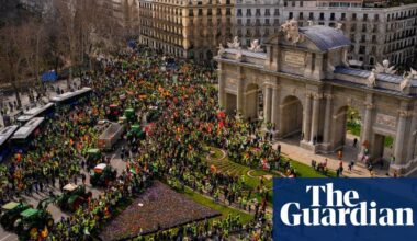 Climate crisis leaves European farmers vulnerable to far right, say campaigners