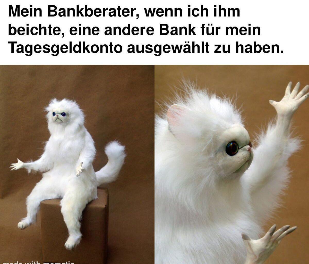 Wie soll ich das nur erklären😭