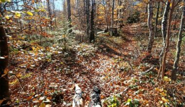 Autumn in Beskidy mountains