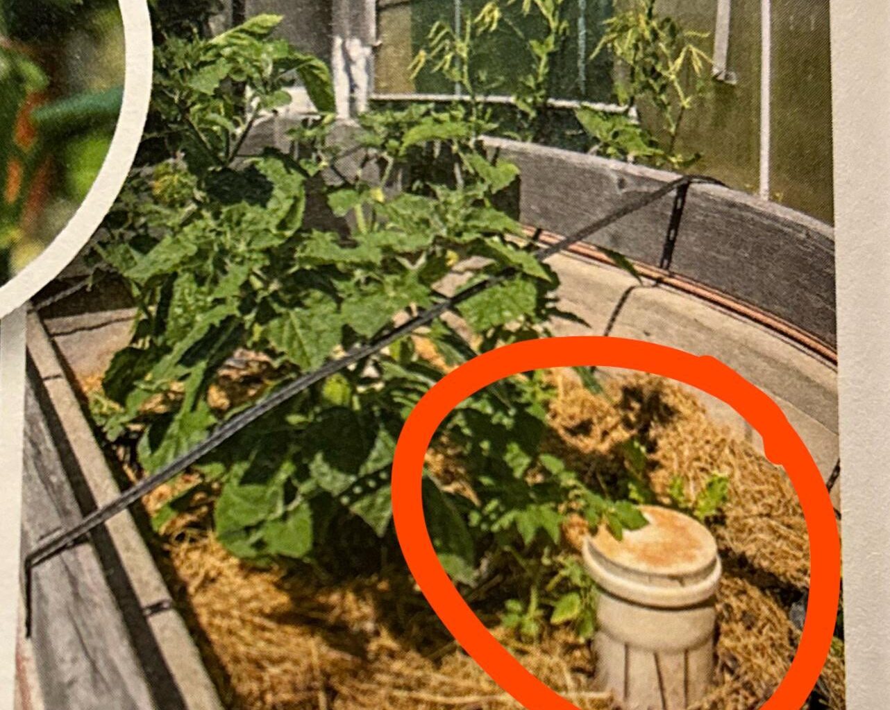 Wie funktioniert so eine Gartenbewässerung?