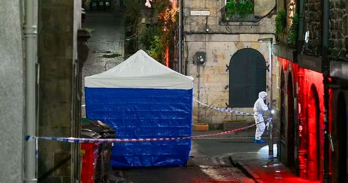 Fears 'severed head' found in Edinburgh street is from man who 'fell under bus'