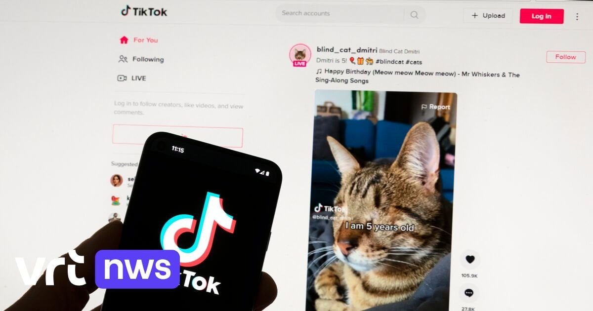 Nederlandse stichting start gezamenlijke rechtszaak tegen TikTok in ons land: "Minderjarigen worden onvoldoende beschermd"