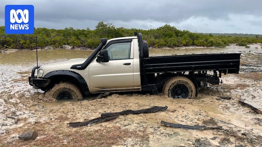 Drivers tear up saltmarshes at popular Queensland tourism spot, damaging sensitive and vital Australian ecosystem