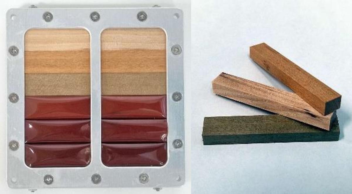 In 2022, the researchers sent samples of three kinds of wood to the International Space Station (ISS) for testing.